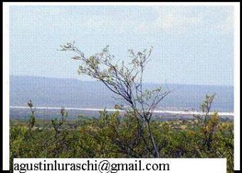 Huge Land in Argentina , Mendoza Mendoza